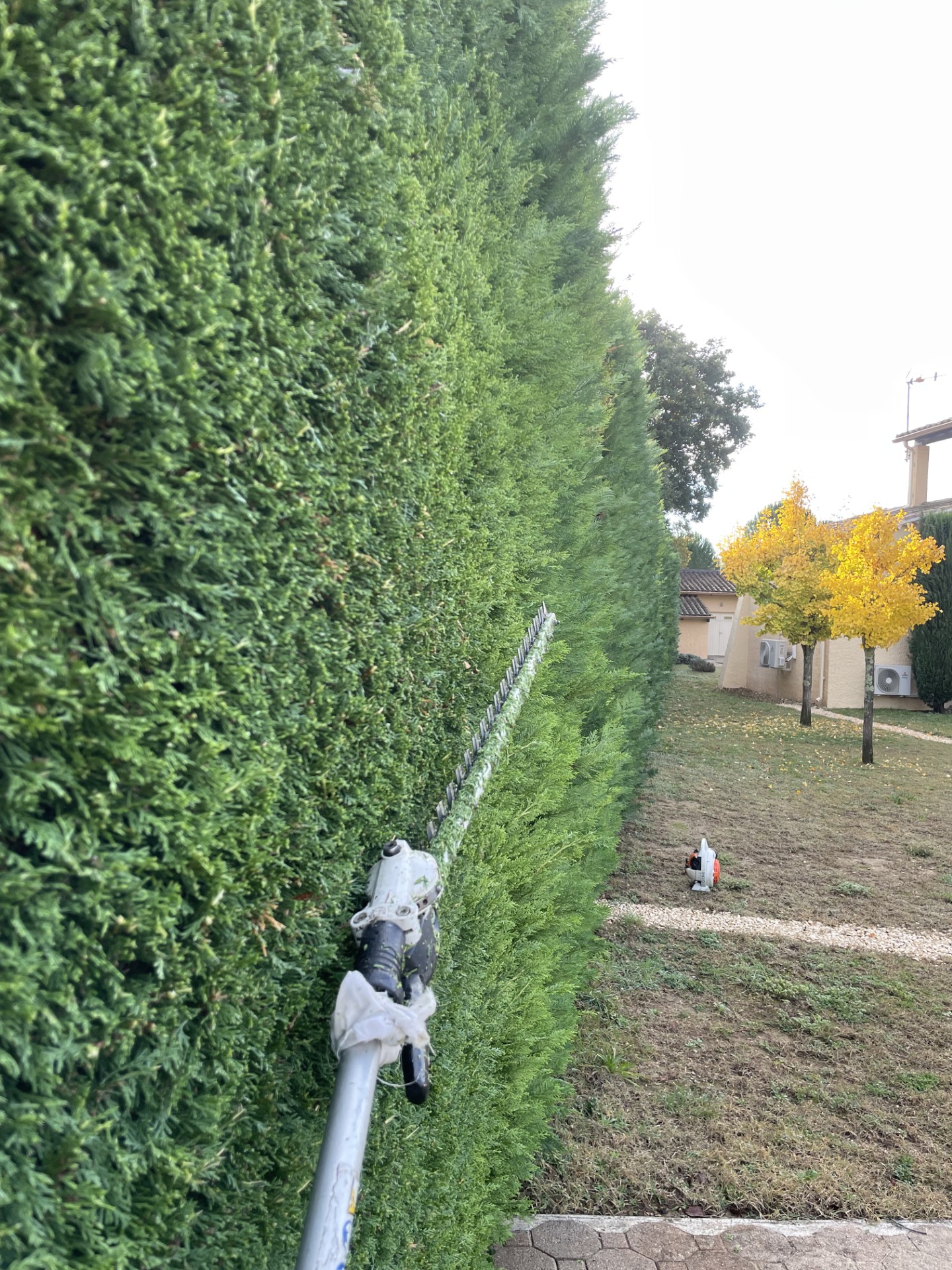 Entretien régulier d’espaces verts